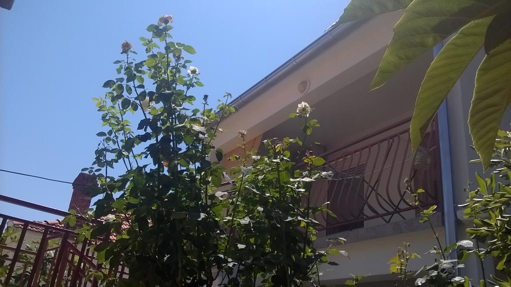 Apartment Cvita Биоград-на-Мору Номер фото